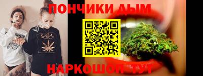 индика Кинель