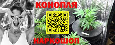 индика Кинель