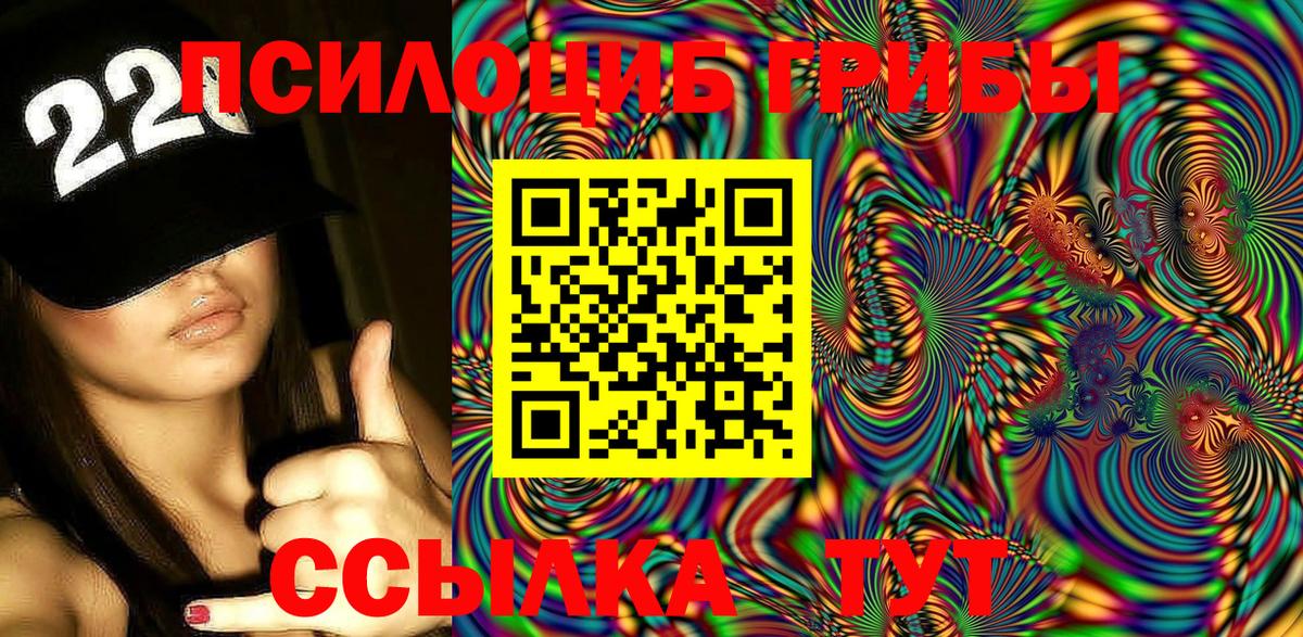 Кирово-Чепецк  Псилоцибиновые грибы Psilocybe  Псилоцибиновые грибы Psilocybe  купить наркотики сайты  Вход с VPN 